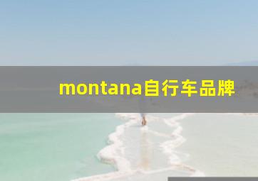 montana自行车品牌