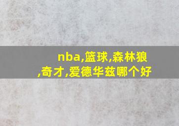 nba,篮球,森林狼,奇才,爱德华兹哪个好