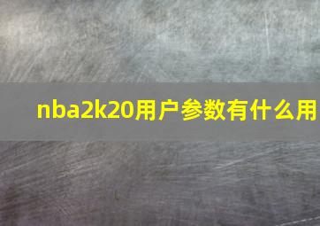 nba2k20用户参数有什么用