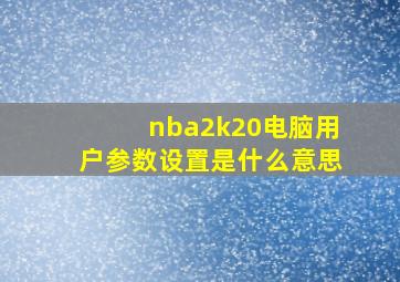 nba2k20电脑用户参数设置是什么意思