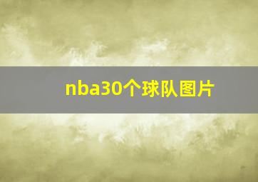 nba30个球队图片