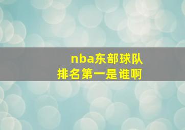 nba东部球队排名第一是谁啊