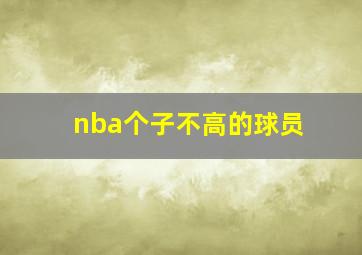 nba个子不高的球员