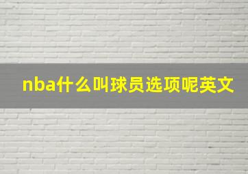 nba什么叫球员选项呢英文