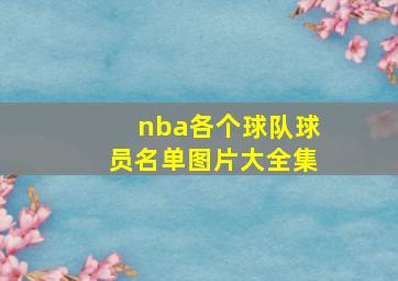 nba各个球队球员名单图片大全集