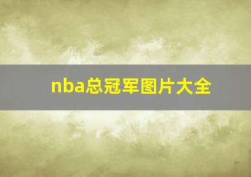 nba总冠军图片大全