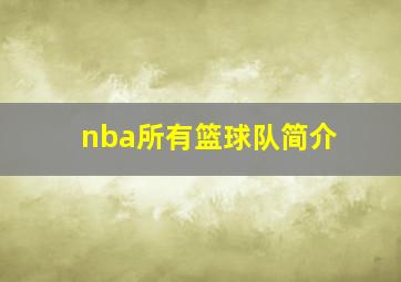 nba所有篮球队简介