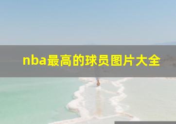 nba最高的球员图片大全