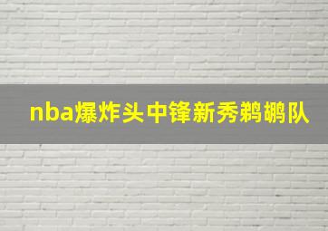 nba爆炸头中锋新秀鹈鹕队