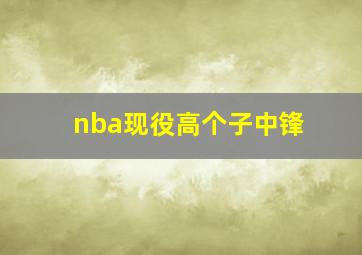 nba现役高个子中锋