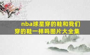 nba球星穿的鞋和我们穿的鞋一样吗图片大全集