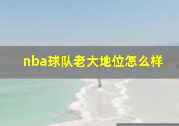 nba球队老大地位怎么样