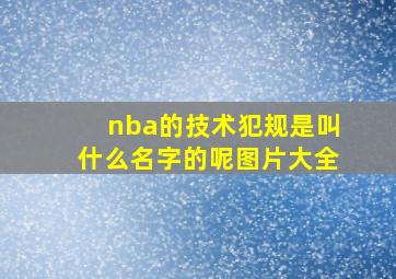 nba的技术犯规是叫什么名字的呢图片大全