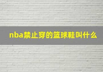 nba禁止穿的篮球鞋叫什么