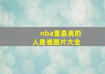 nba里最高的人是谁图片大全