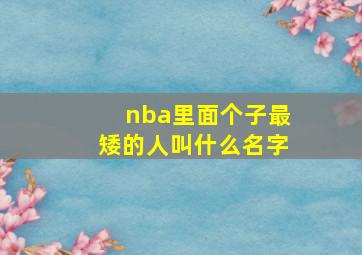 nba里面个子最矮的人叫什么名字