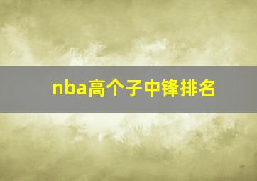 nba高个子中锋排名