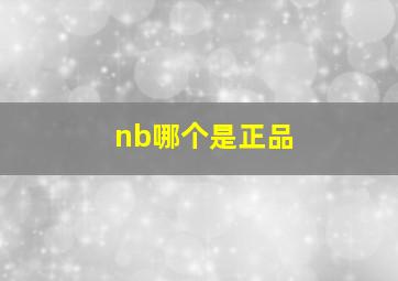 nb哪个是正品