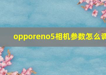 opporeno5相机参数怎么调