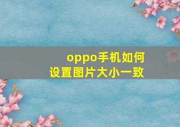 oppo手机如何设置图片大小一致