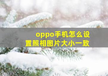 oppo手机怎么设置照相图片大小一致