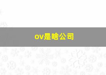 ov是啥公司