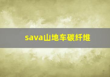 sava山地车碳纤维