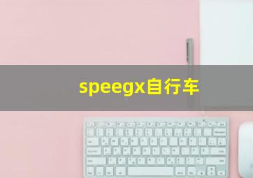 speegx自行车