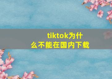 tiktok为什么不能在国内下载