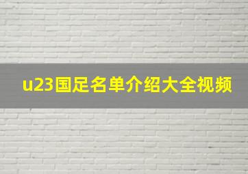 u23国足名单介绍大全视频