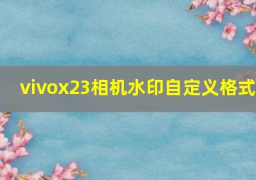 vivox23相机水印自定义格式