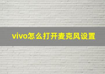 vivo怎么打开麦克风设置