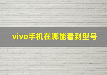 vivo手机在哪能看到型号