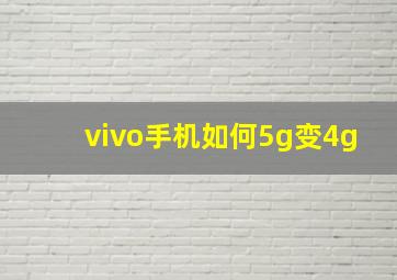 vivo手机如何5g变4g