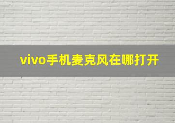 vivo手机麦克风在哪打开