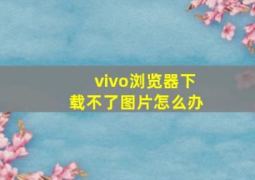 vivo浏览器下载不了图片怎么办