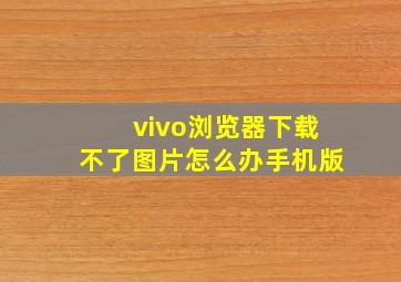 vivo浏览器下载不了图片怎么办手机版