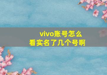 vivo账号怎么看实名了几个号啊