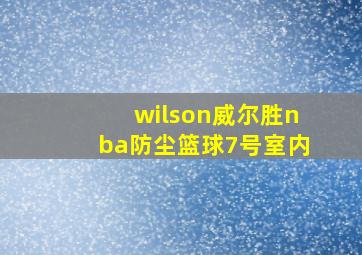 wilson威尔胜nba防尘篮球7号室内