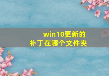 win10更新的补丁在哪个文件夹