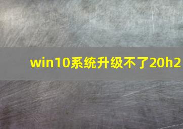 win10系统升级不了20h2