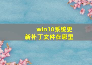 win10系统更新补丁文件在哪里