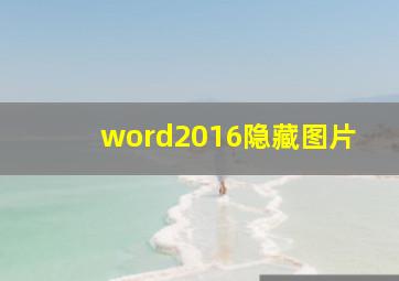 word2016隐藏图片