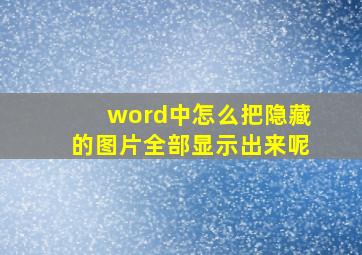 word中怎么把隐藏的图片全部显示出来呢