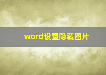 word设置隐藏图片