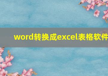 word转换成excel表格软件