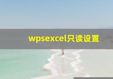 wpsexcel只读设置