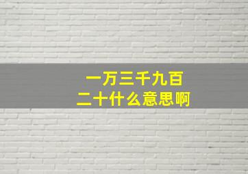 一万三千九百二十什么意思啊