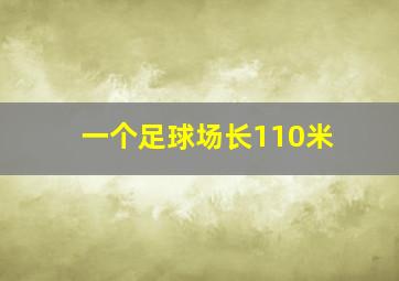 一个足球场长110米