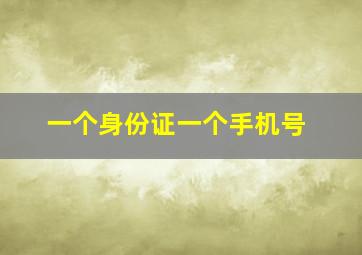 一个身份证一个手机号